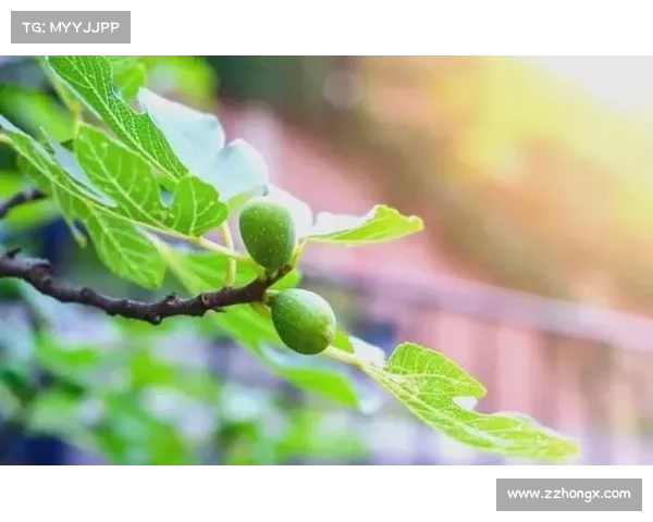 在小满时节感悟自然律动与生命的繁盛与宁静 在小满时节感悟自然律动与生命的繁盛与宁静