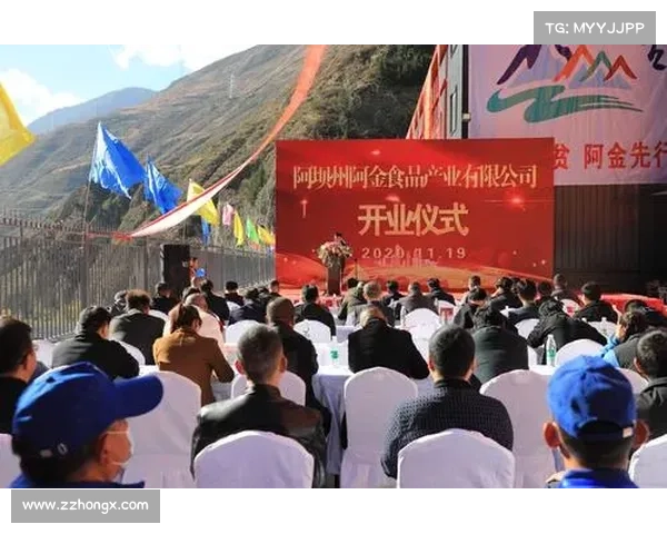 如何在高原地区优化资源配置提升社会服务效率的策略与路径 如何在高原地区优化资源配置提升社会服务效率的策略与路径